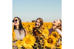 Image Happy women in sunflower field feeling good